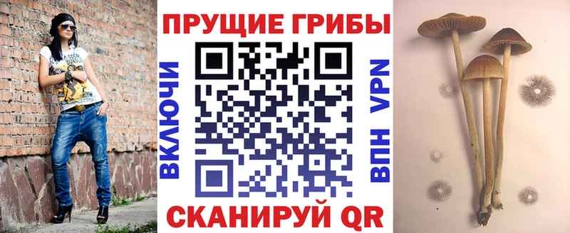 дарк нет состав  Невьянск  Галлюциногенные грибы GOLDEN TEACHER 